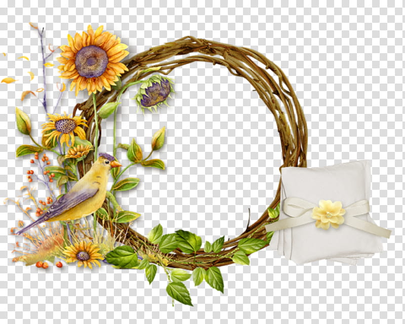 frame, Flower, Plant, Spring
, Branch, Wildflower, Twig, Interior Design transparent background PNG clipart
