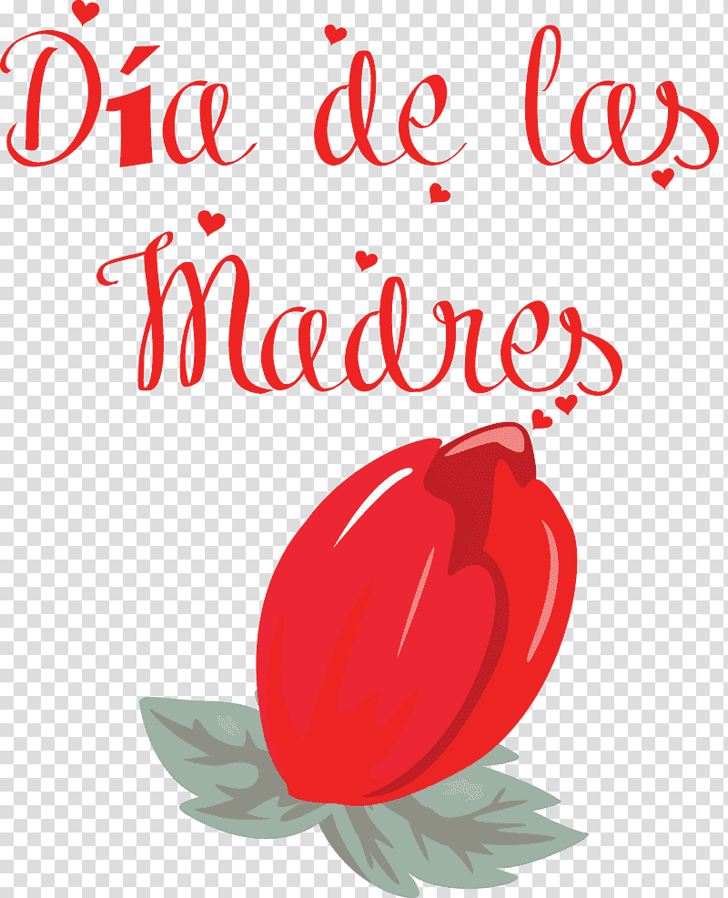 Día de las Madres Mother's Day Mexico, Christ The King, St Andrews Day, St Nicholas Day, Watch Night, Thaipusam, Tu Bishvat transparent background PNG clipart