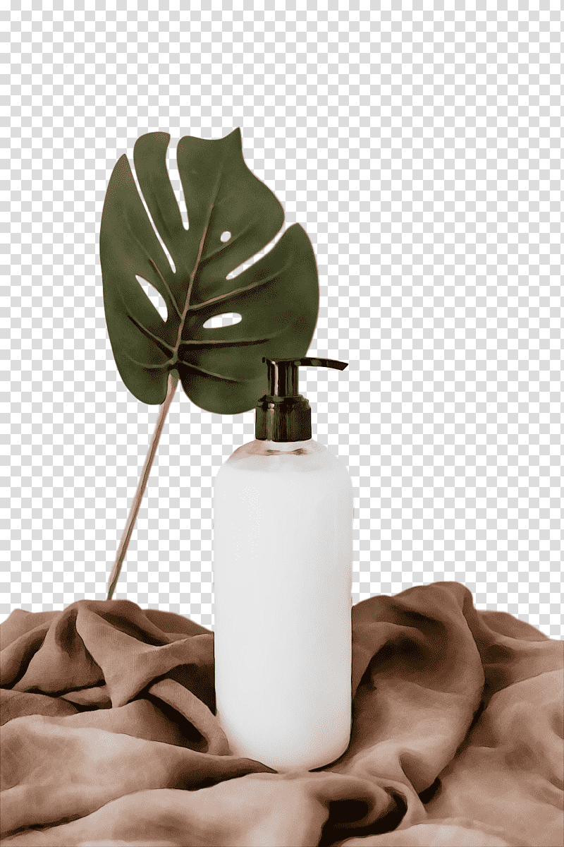 still life graphy still life vase plants new york's 3rd congressional district, Watercolor, Paint, Wet Ink, Still Life , New Yorks 3rd Congressional District, Science transparent background PNG clipart