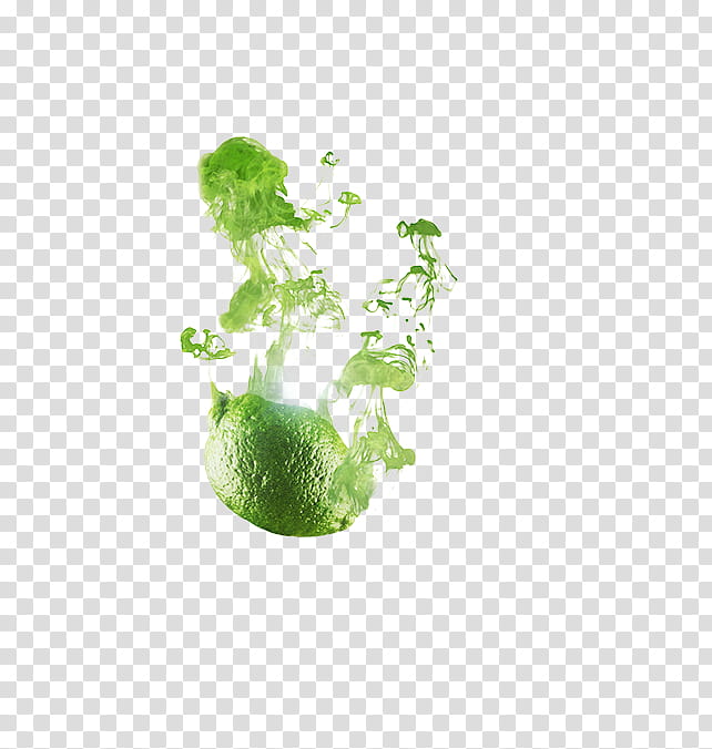 Vegetables, Fruit, Green, Plant, Jade transparent background PNG clipart