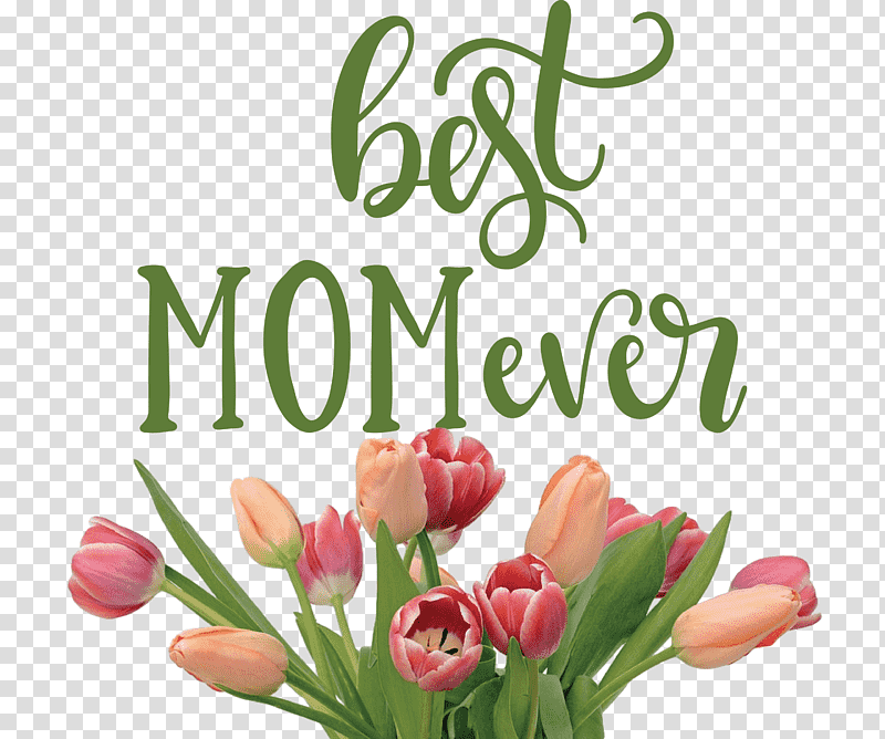 Mothers Day best mom ever Mothers Day Quote, Flower, Tulip, Cut Flowers, Flower Bouquet, Floral Design, Rose transparent background PNG clipart