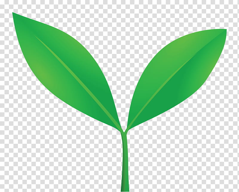 sprout bud seed, Flush, Leaf, Green, Plant, Flower, Tree, Plant Stem transparent background PNG clipart