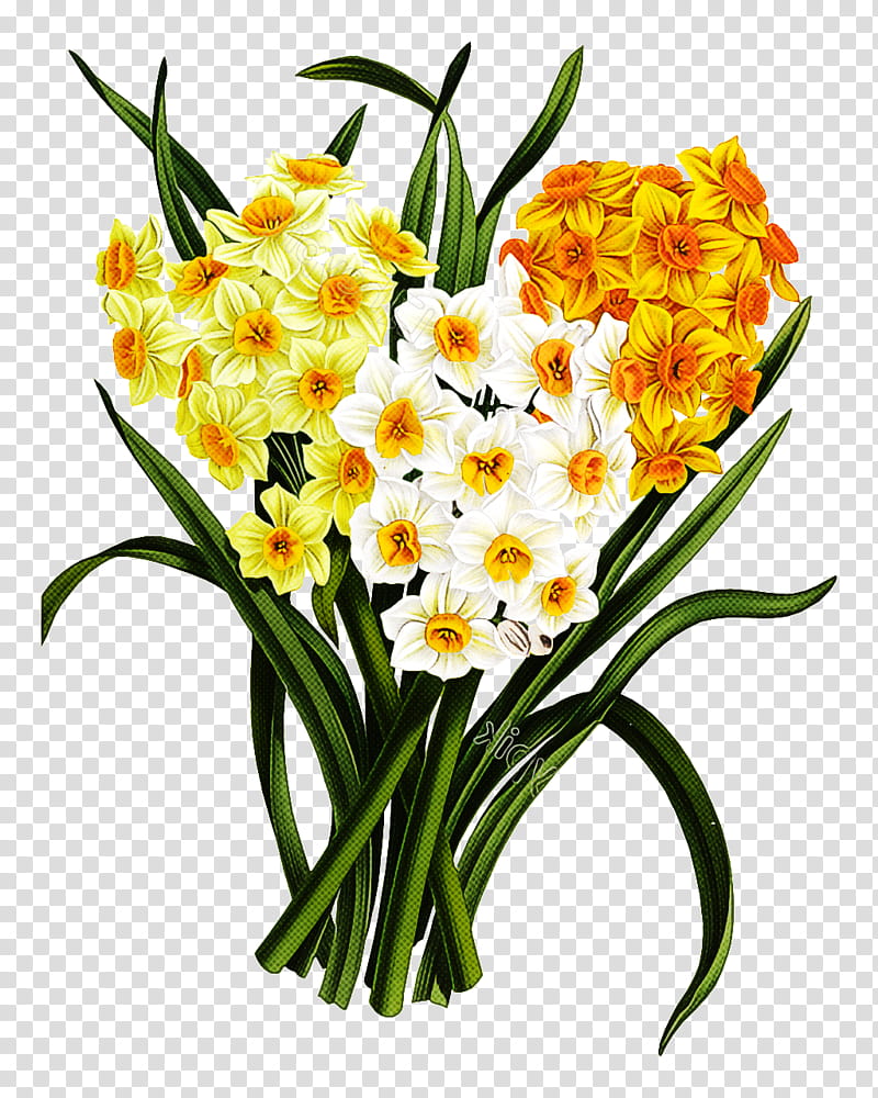 flower plant cut flowers yellow narcissus, Petal, Plant Stem, Bouquet, Dendrobium, Orchid, Flowerpot, Floristry transparent background PNG clipart