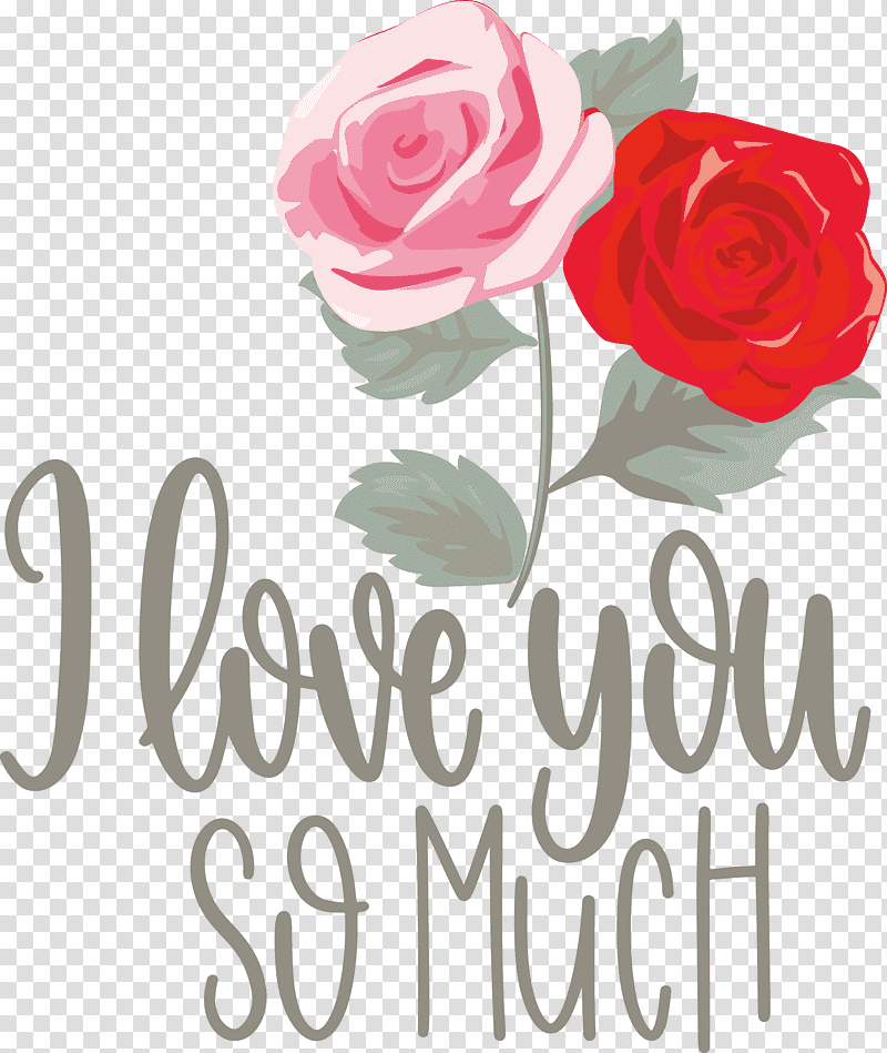 I Love You So Much Valentines Day Love, Floral Design, Garden Roses, Flower Bouquet, Cut Flowers, Petal, Rose Family transparent background PNG clipart