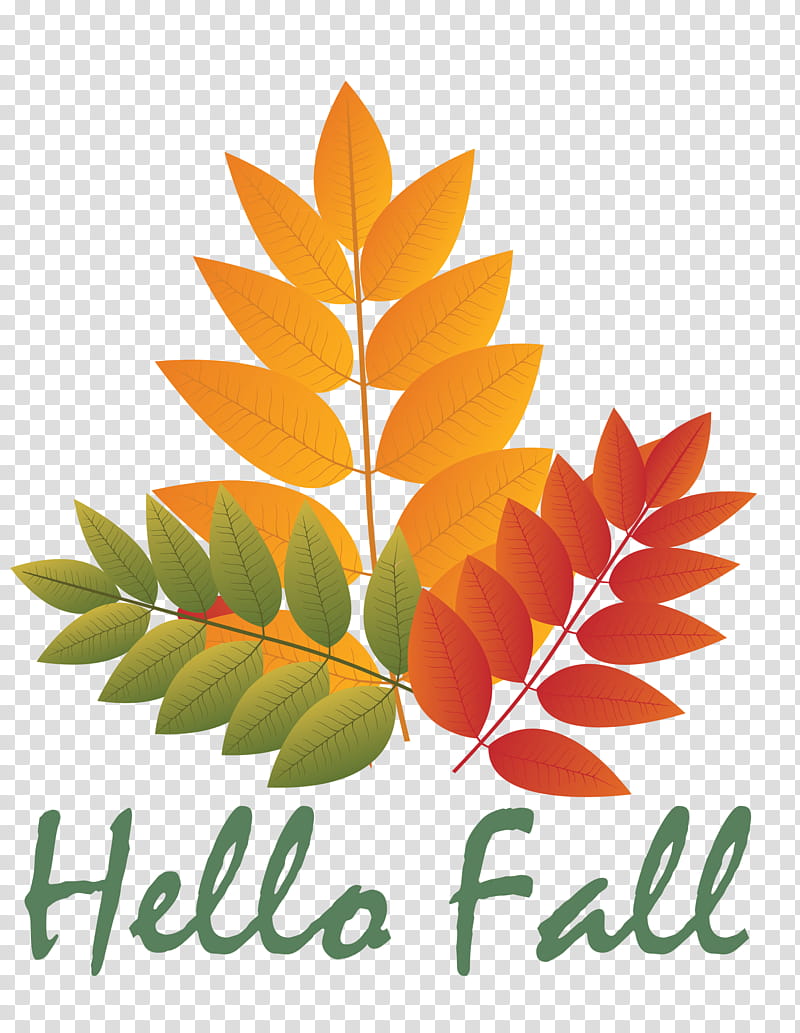 Hello Autumn Welcome Autumn Hello Fall, Welcome Fall, Drawing, Leaf, Maple Leaf transparent background PNG clipart