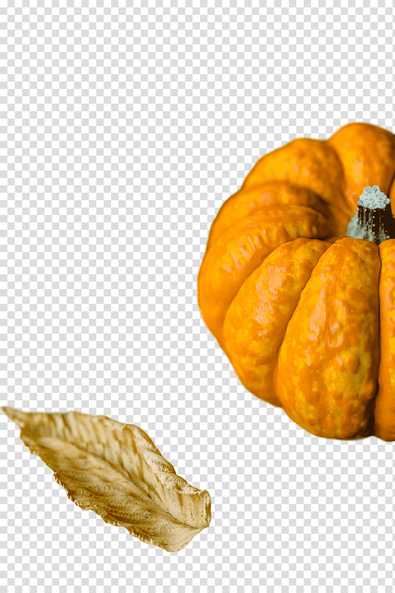 Pumpkin, Cucurbita Maxima, Hello July, Winter Squash, Butternut Squash, Season, Gourd transparent background PNG clipart