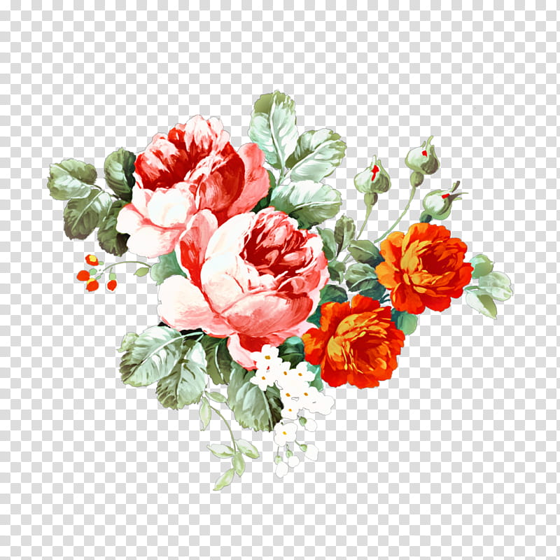 Garden roses, Flower, Plant, Cut Flowers, Petal, Watercolor Paint, Rose Family, Peony transparent background PNG clipart