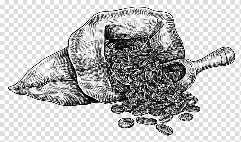 drawing mortar and pestle transparent background PNG clipart