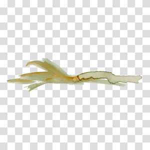 yellow beige transparent background PNG clipart thumbnail