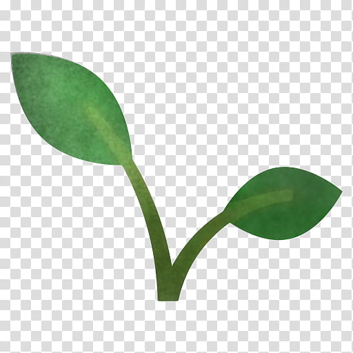 leaf plant stem synthesis plant reproduction transpiration, synthesis, Chloroplast, Grasses, Wildflower, Petal, Plant Structure, Plants transparent background PNG clipart