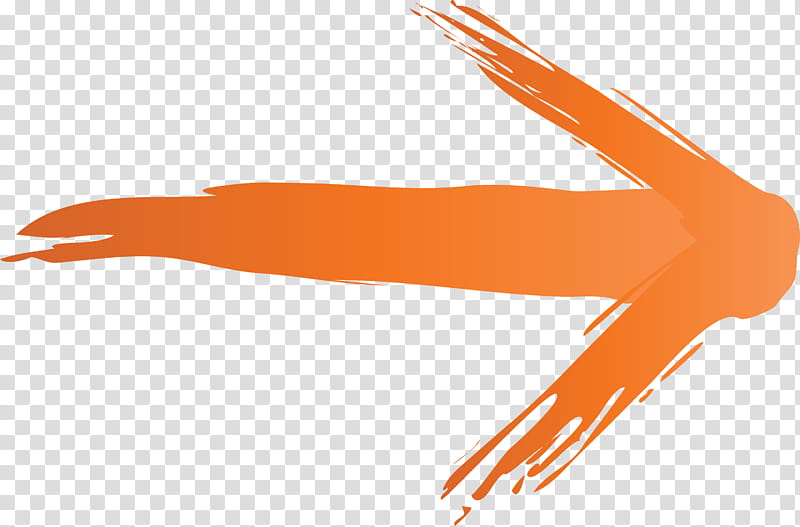 Brush Arrow, Orange, Hand, Arm, Athletic Dance Move, Finger, Stretching, Logo transparent background PNG clipart