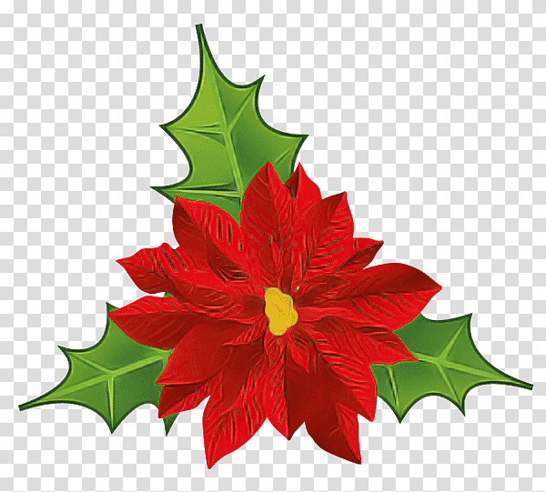 Christmas Day, Poinsettia, Bauble, Garland, Christmas Decoration, Joulukukka, Flower transparent background PNG clipart