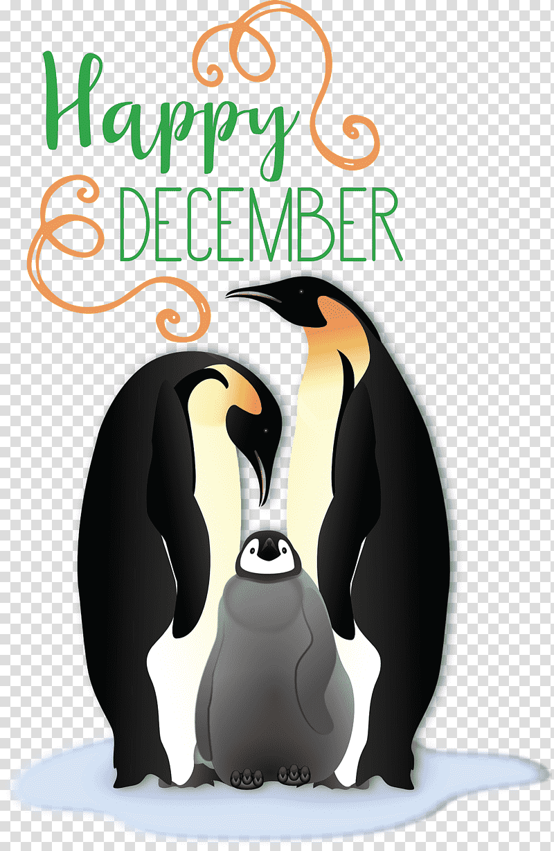 Happy December Winter, Winter
, King Penguin, Birds, Penguins, Flightless Bird, Meter transparent background PNG clipart