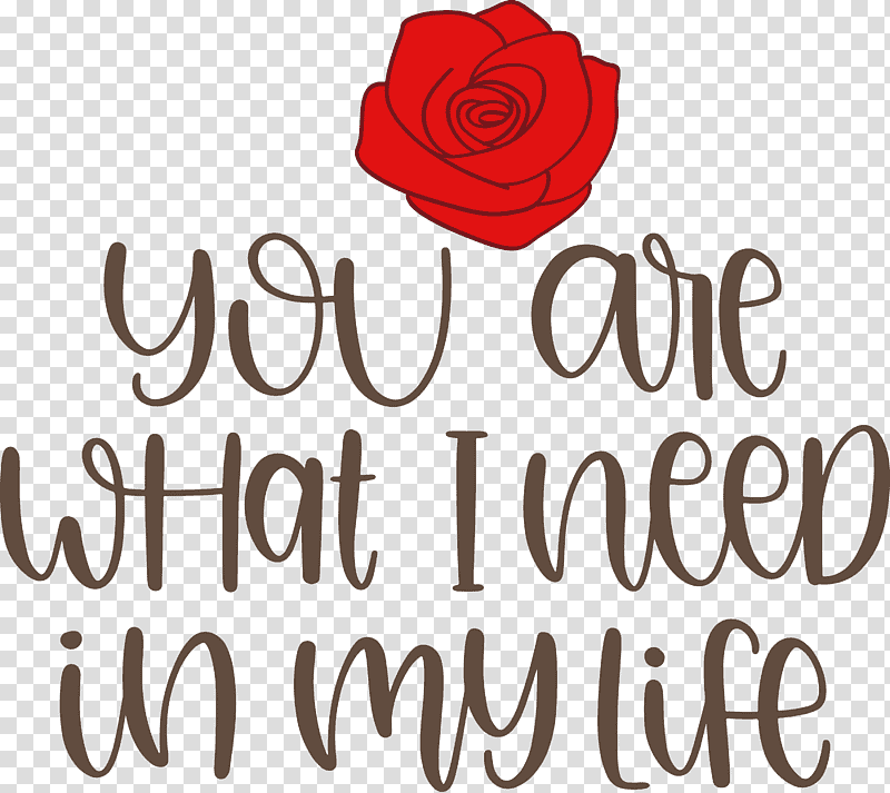 Valentine Valentines Valentines Quote, Cut Flowers, Garden Roses, Floral Design, Petal, Rose Family, Logo transparent background PNG clipart