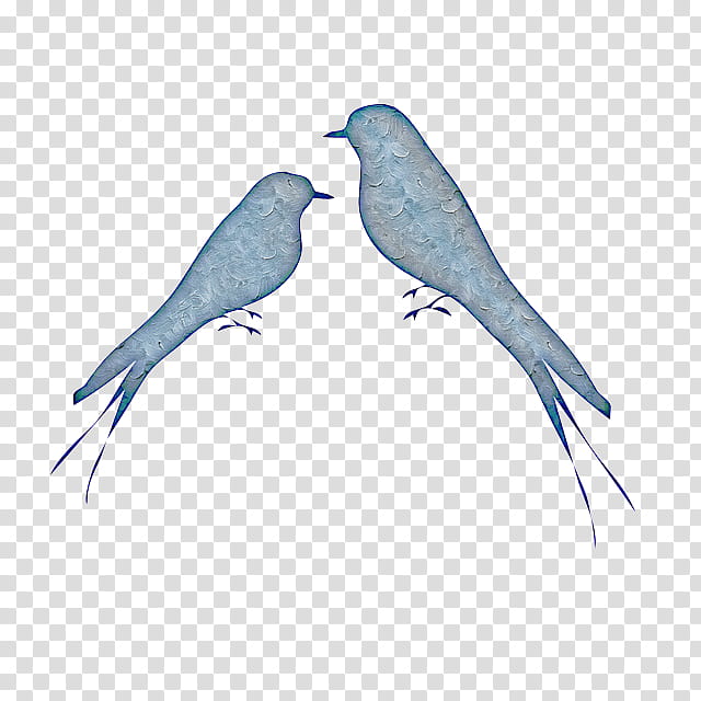 Feather, Bird, Mountain Bluebird, Beak, Perching Bird, Indigo Bunting, Songbird transparent background PNG clipart