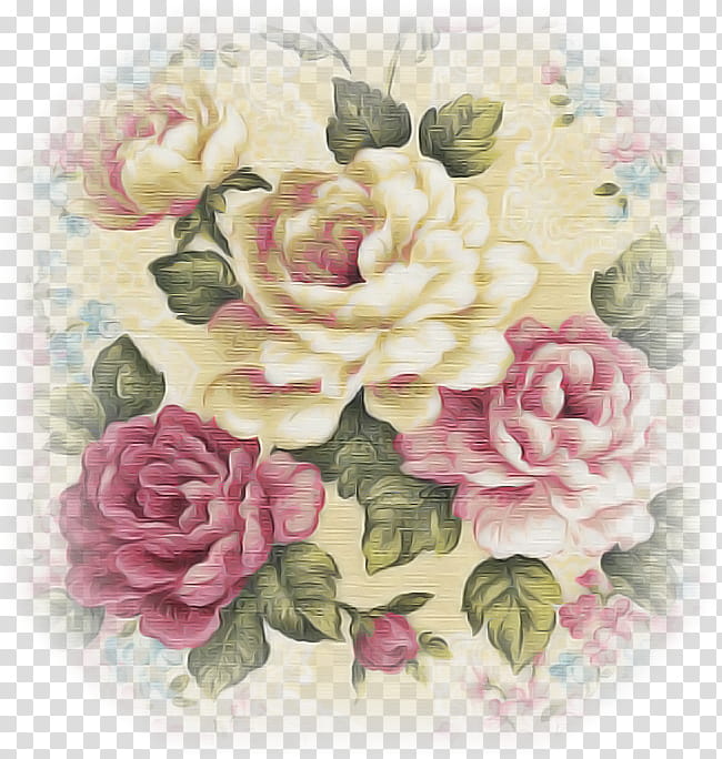 Garden roses, Cabbage Rose, Floral Design, Cut Flowers, Flower Bouquet, Artificial Flower, Petal, Peony M transparent background PNG clipart