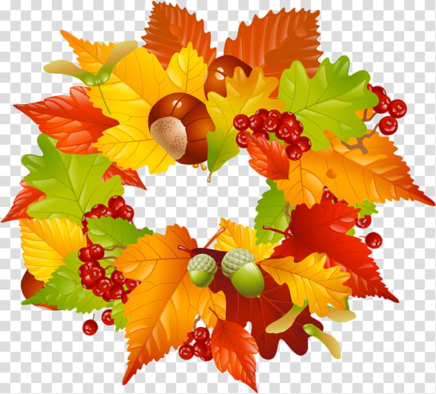 Thanksgiving, Leaf, Plant, Flower, Tree, Autumn, Cut Flowers, Lantana transparent background PNG clipart