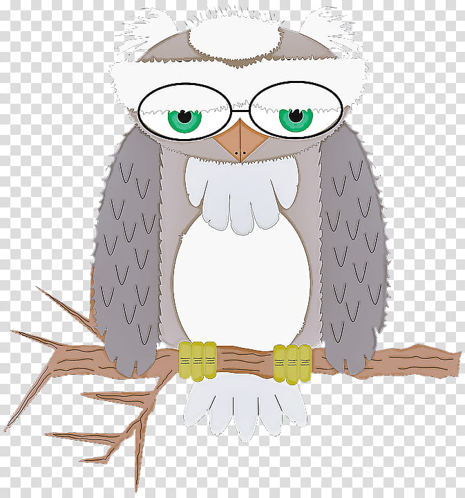 owl bird bird of prey cartoon eastern screech owl, Snowy Owl, Branch transparent background PNG clipart