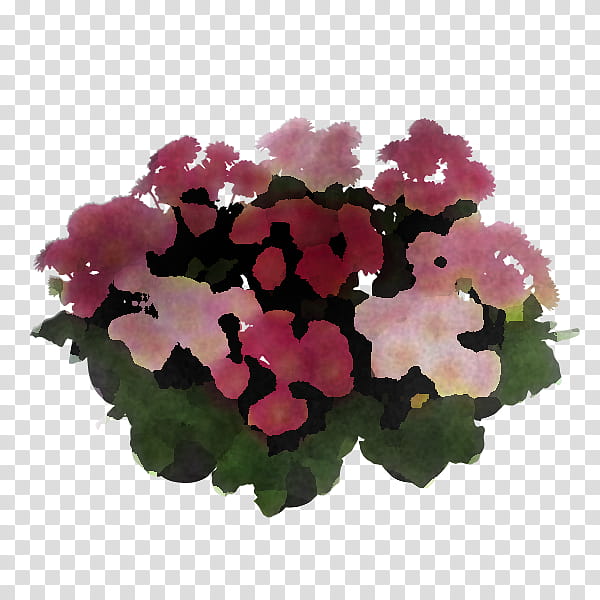 flower pink plant petunia petal, Verbena, Impatiens, Hydrangea, Geranium, Annual Plant, Lantana, Houseplant transparent background PNG clipart
