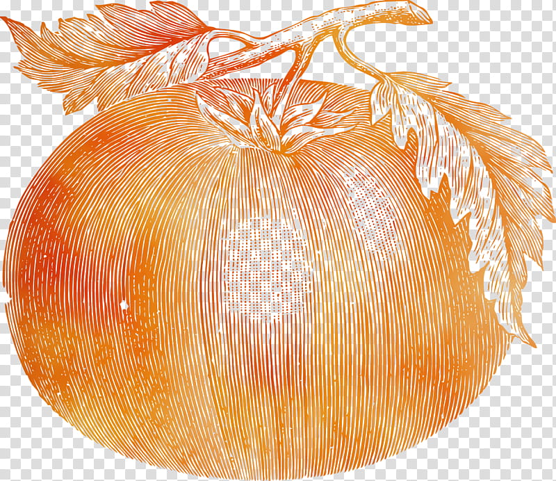 yellow onion calabaza vegetarian cuisine squash winter squash, Vegetable, Watercolor, Paint, Wet Ink, Still Life , Commodity, Vegetarianism transparent background PNG clipart