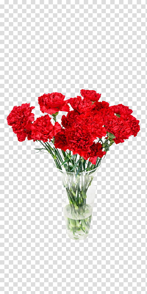 Artificial flower, Cut Flowers, Plant, Red, Bouquet, Carnation, Petal, Dianthus transparent background PNG clipart