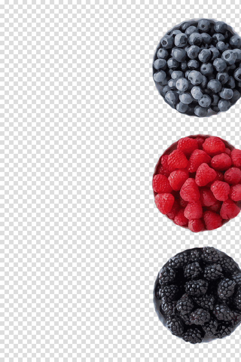 raspberry boysenberry berry superfood cranberry, Watercolor, Paint, Wet Ink, Blueberry M, Fruit, Inismsci Saudi Acapls transparent background PNG clipart
