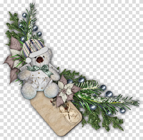 Holly, Plant, Fir, Tree, Branch, Pine, Conifer, Cypress Family transparent background PNG clipart