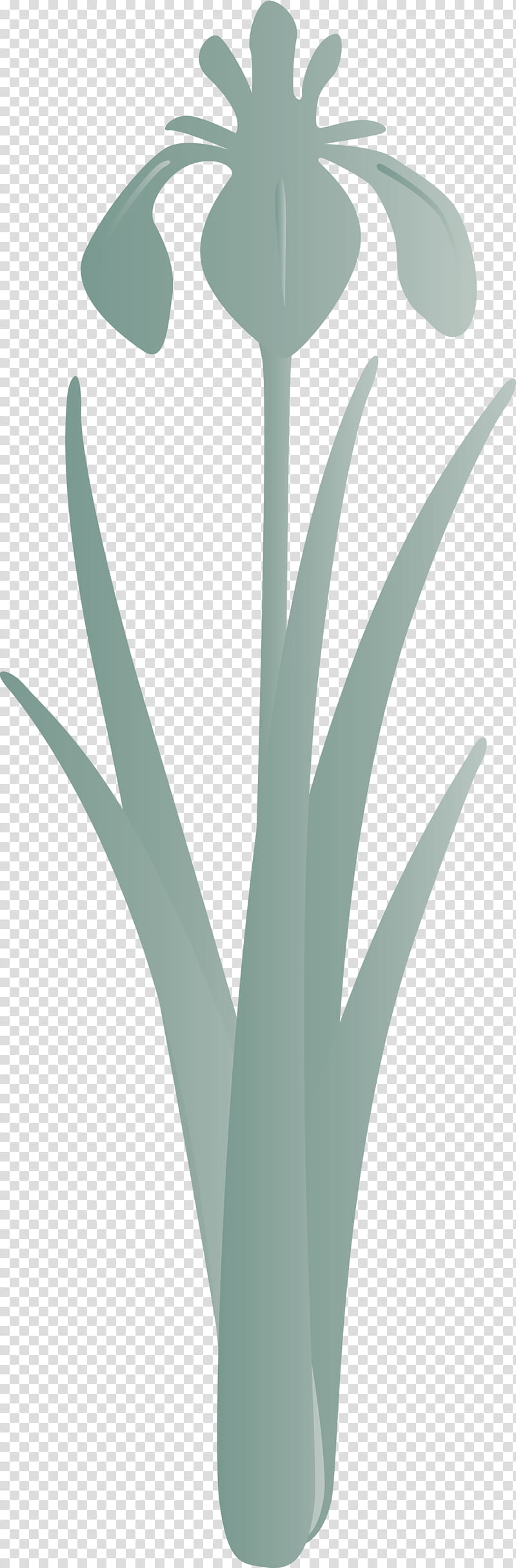 iris flower spring flower, Iris Flower, Green, Leaf, Plant, Grass Family, Agave, Aloe transparent background PNG clipart