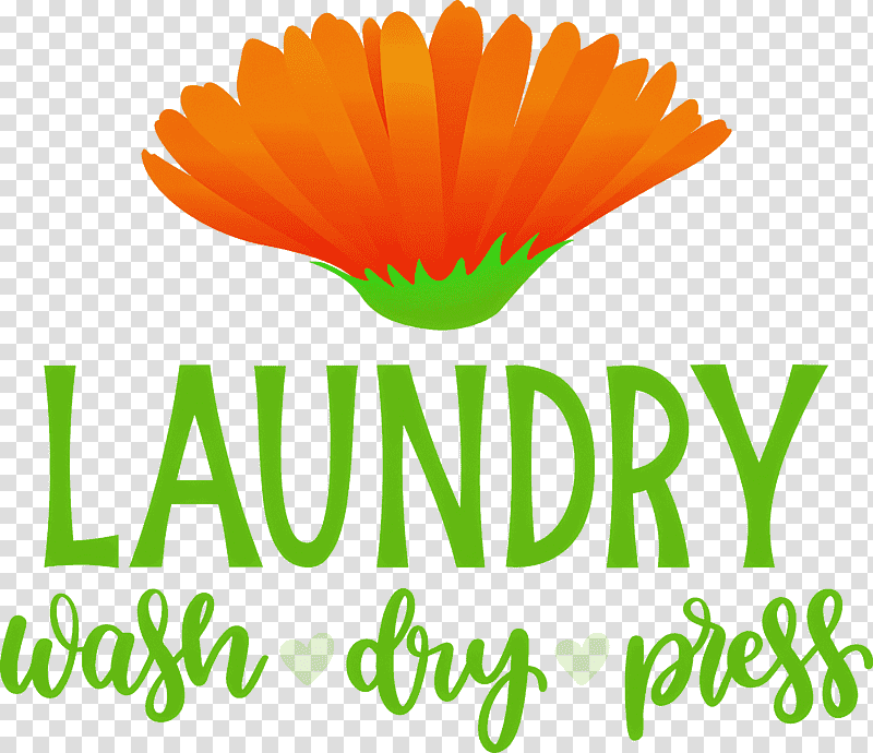 Laundry Wash Dry, Press, Cut Flowers, Logo, Petal, Pot Marigold, Meter transparent background PNG clipart