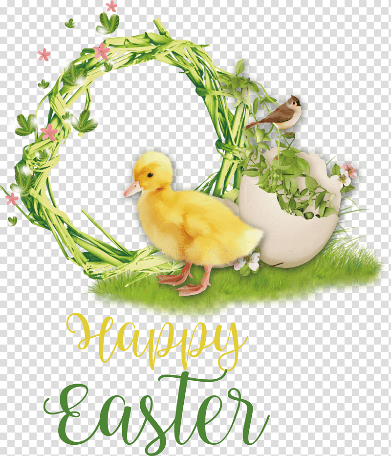 Happy Easter chicken and ducklings, Red Junglefowl, Holiday, Water Bird, Live, Easter Chicks, Beak transparent background PNG clipart