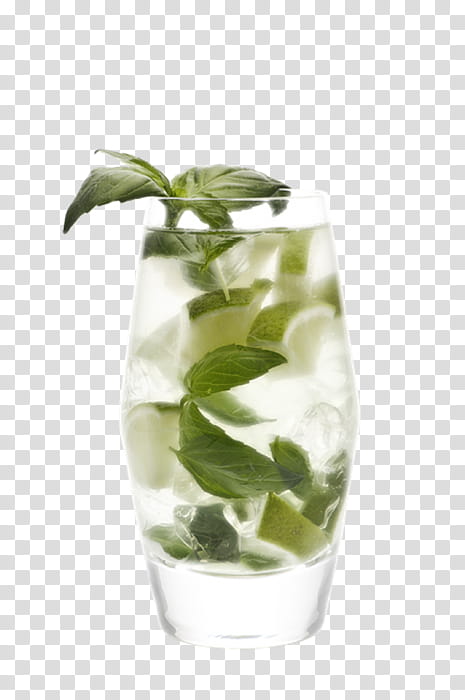 leaf plant vase highball glass lemon basil, Herb, Mint Julep, Drink, Flower, Peppermint, Perennial Plant transparent background PNG clipart
