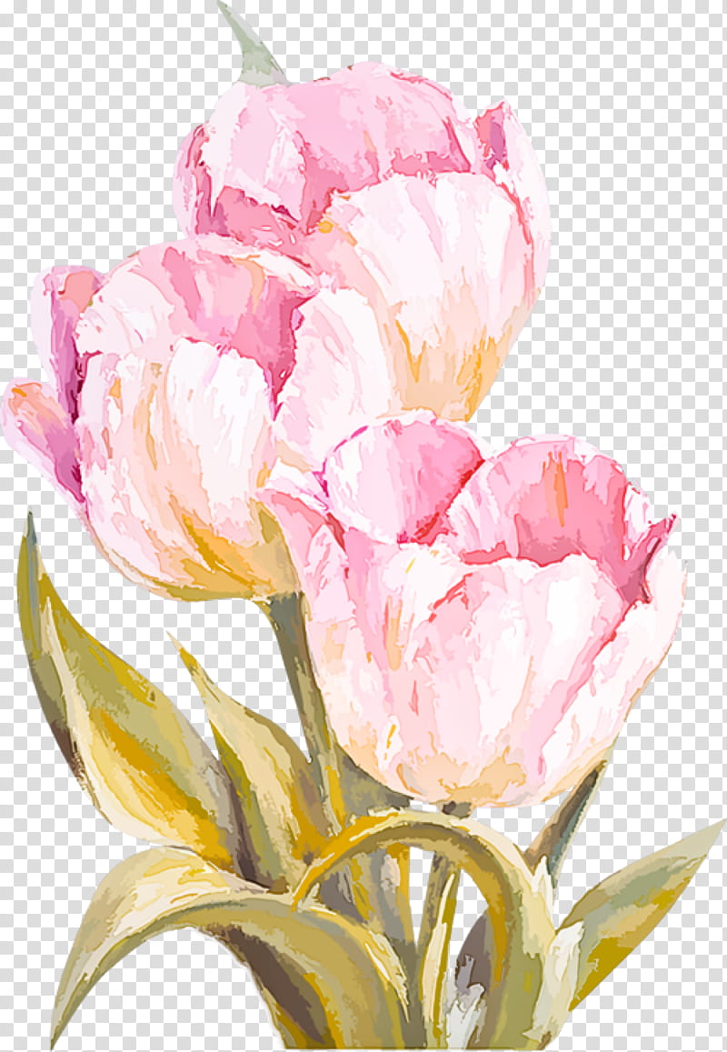 flower petal cut flowers tulip pink, Plant, Watercolor Paint, Lily Family, Plant Stem transparent background PNG clipart