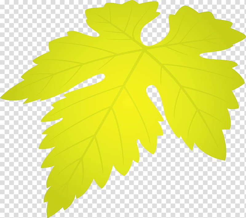 Grapes Leaf leaf, Tree, Maple Leaf, Black Maple, Plant, Green, Grape Leaves, Plane transparent background PNG clipart