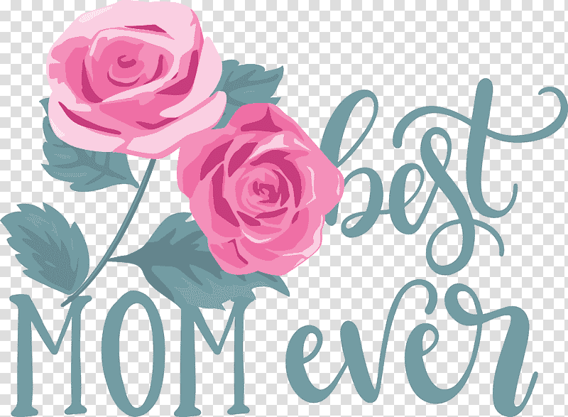 Mothers Day best mom ever Mothers Day Quote, Floral Design, Garden Roses, Cut Flowers, Petal, Flower Bouquet, Pink transparent background PNG clipart