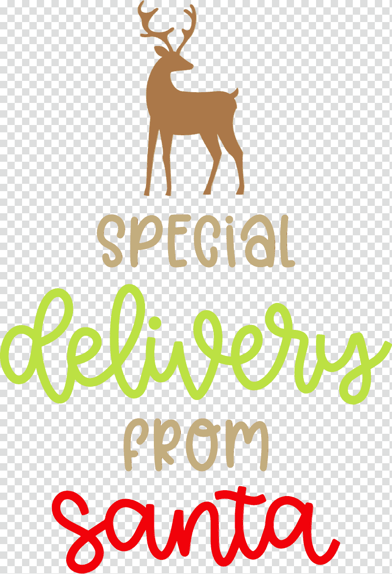 Reindeer, Special Delivery From Santa, Christmas , Watercolor, Paint, Wet Ink, Antler transparent background PNG clipart