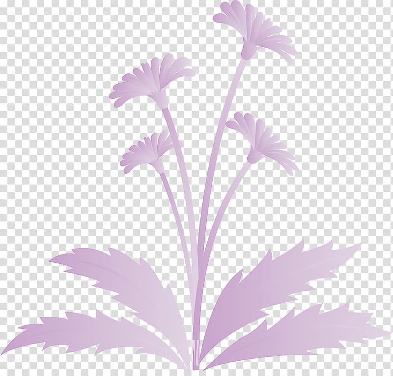 Dandelion flower easter day flower spring flower, Plant, Purple, Violet, Leaf, Petal, Plant Stem, Pink Family transparent background PNG clipart