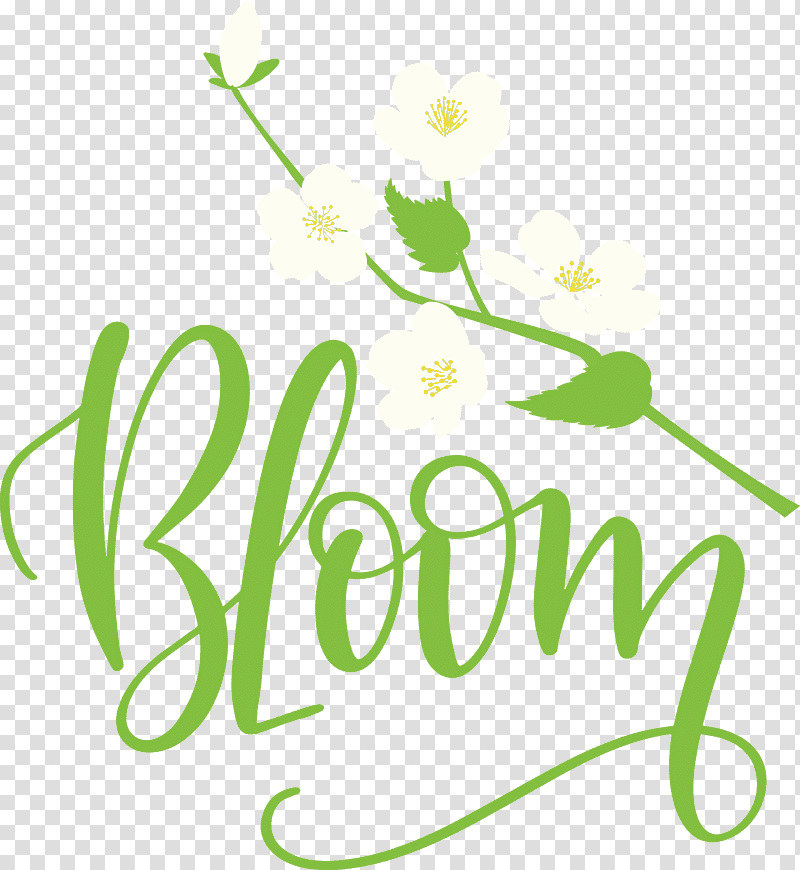 Bloom Spring, Spring
, Leaf, Floral Design, Plant Stem, Meter, Petal transparent background PNG clipart