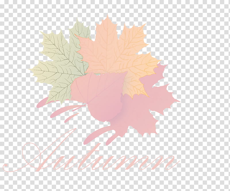 Hello Autumn Welcome Autumn Hello Fall, Welcome Fall, Leaf, Cartoon, Maple Leaf, Petal, Lens Flare, Logo transparent background PNG clipart