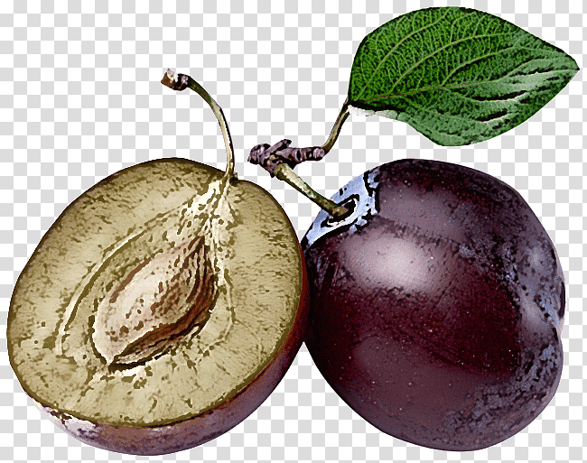 prune plum damson plant mulberry, Natural Food, Water, Star Apple, Superfood, Bottle transparent background PNG clipart