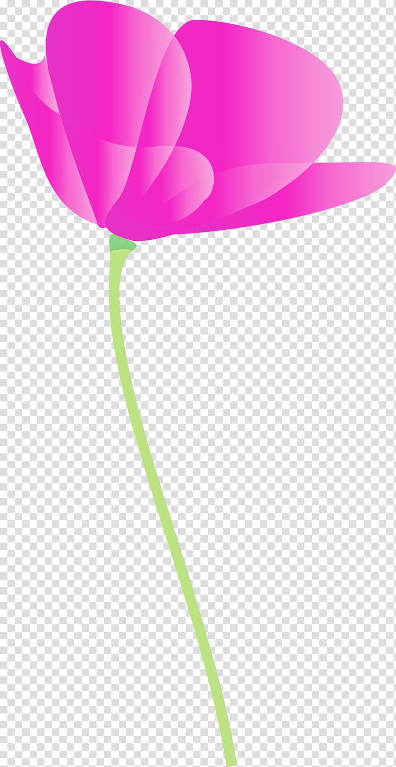 poppy flower, Tulip, Pink, Petal, Plant, Balloon, Pedicel, Lily Family transparent background PNG clipart