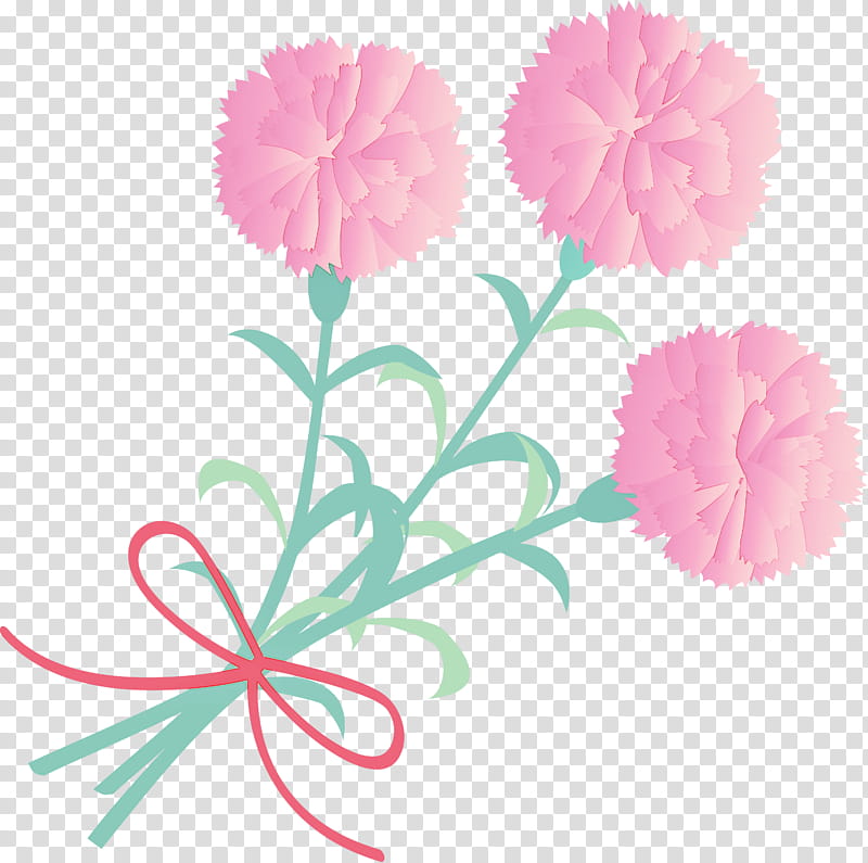 Mothers Day Carnation Mothers Day flower, Pink, Cut Flowers, Plant, Pompom, Pink Family, Petal, Dianthus transparent background PNG clipart