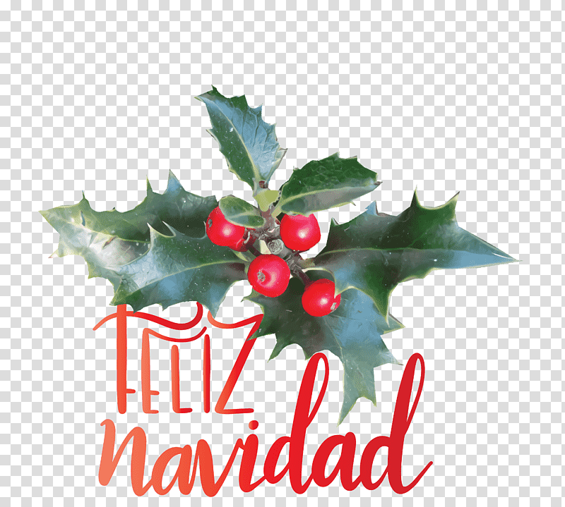 Feliz Navidad Merry Christmas, Christmas Day, Ornament, Christmas Ornament, Cartoon, Gift, Birthday transparent background PNG clipart