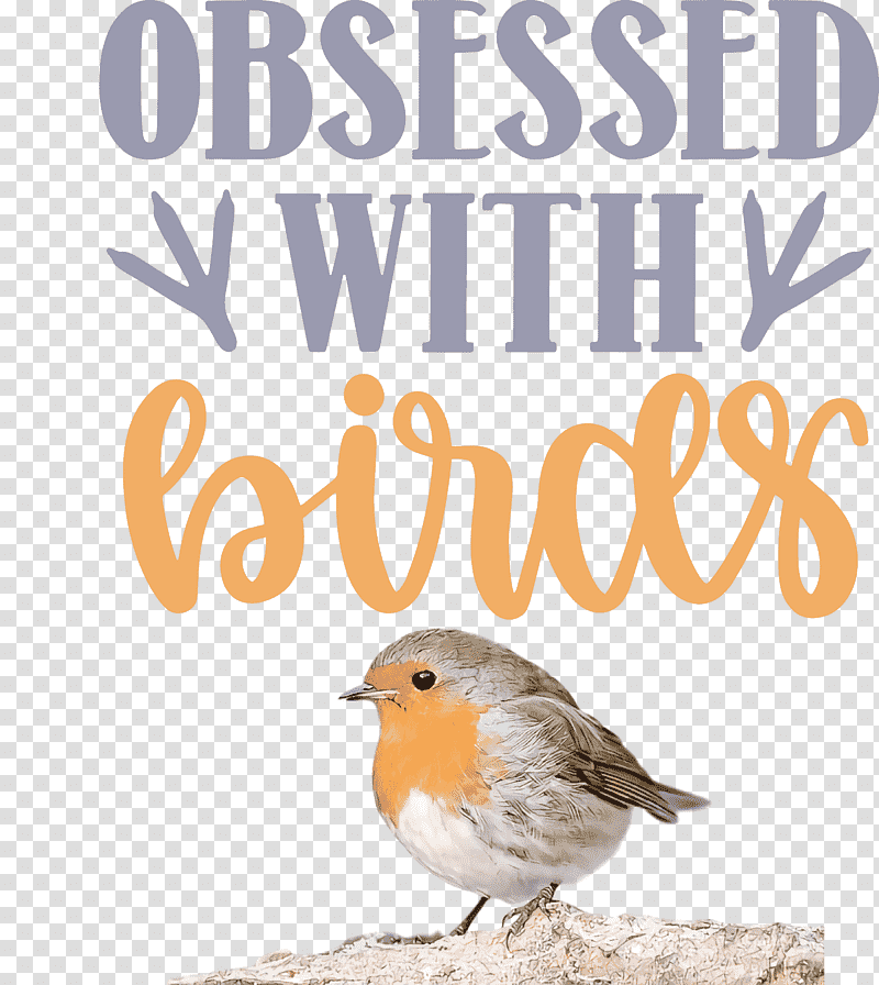 Obsessed With Birds Bird Birds Quote, European Robin, Bird Food, Beak, Meter, Science, Biology transparent background PNG clipart