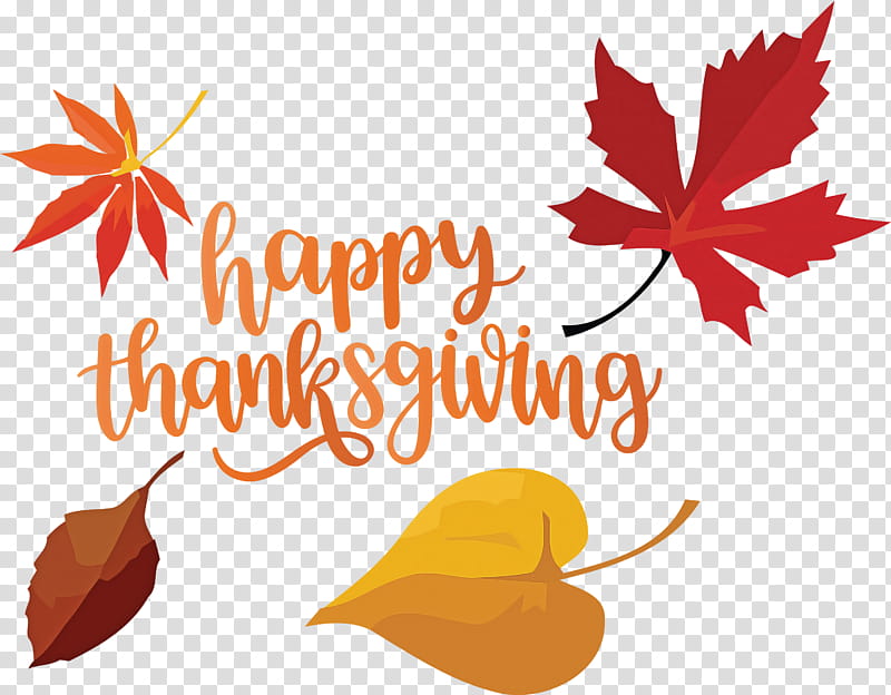 Happy Thanksgiving Autumn Fall, Happy Thanksgiving , Leaf, Maple Leaf, Flower, Petal, Tree, Text transparent background PNG clipart