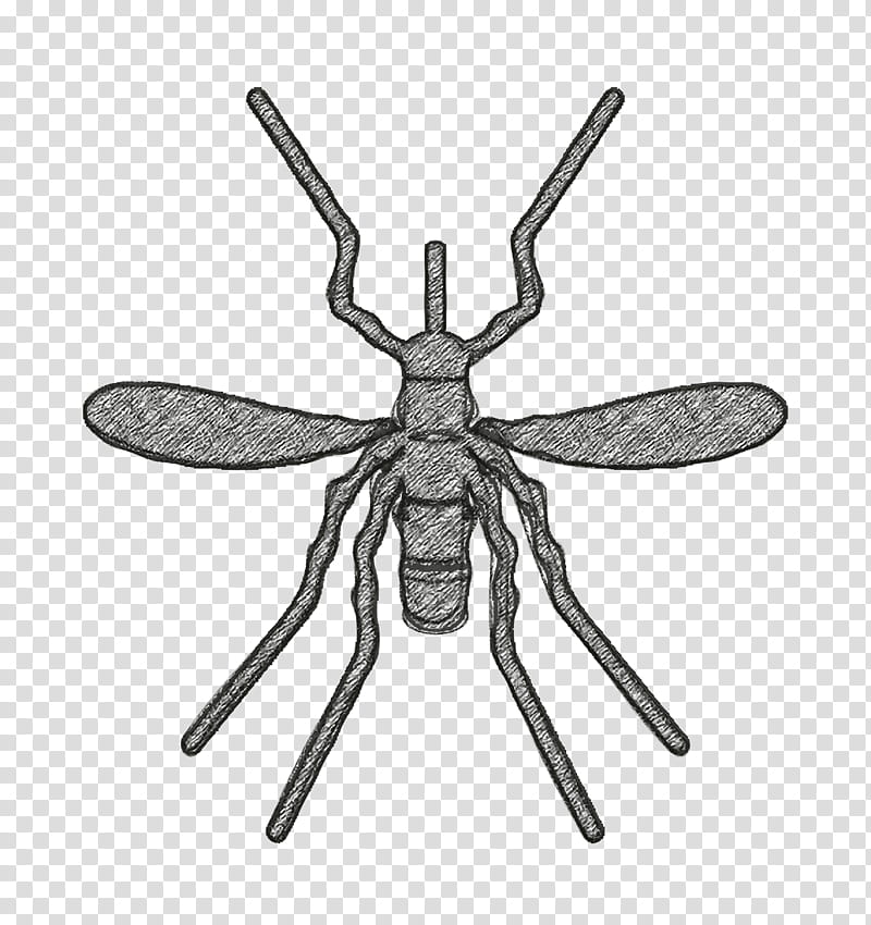 Mosquito icon Insects icon, Membranewinged Insect, Pest, Fly, Bee transparent background PNG clipart
