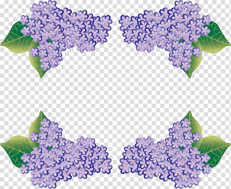flower frame floral frame, Purple, Lilac, Lavender, Violet, Hydrangeaceae, Plant, Cornales transparent background PNG clipart
