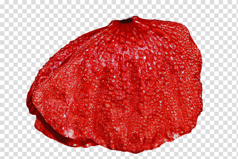 Strawberry, Red Meat transparent background PNG clipart