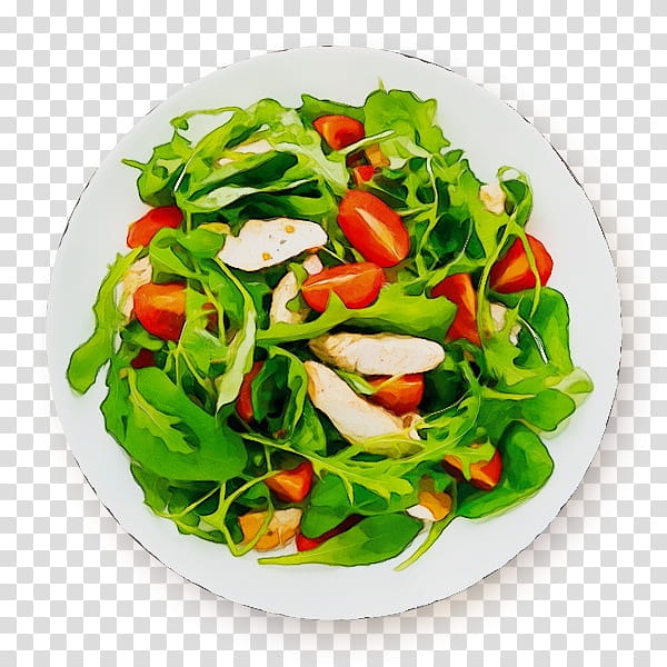 Salad, Watercolor, Paint, Wet Ink, Spinach Salad, Vegetarian Cuisine, Spring Greens, Lettuce transparent background PNG clipart