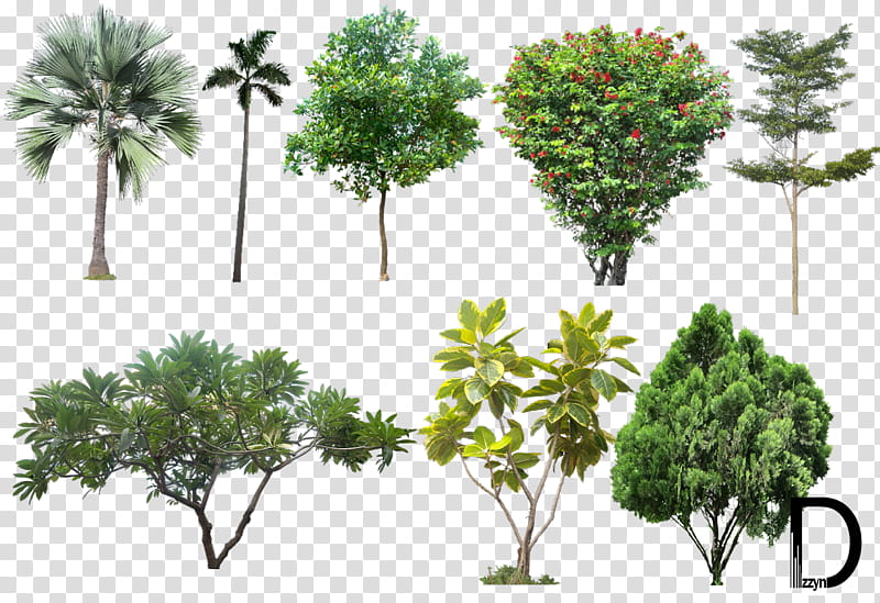 Cartoon Palm Tree, Architecture, Editing, Architectural Rendering, Interior Design Services, Landscape Architecture, Plant, Vegetation transparent background PNG clipart