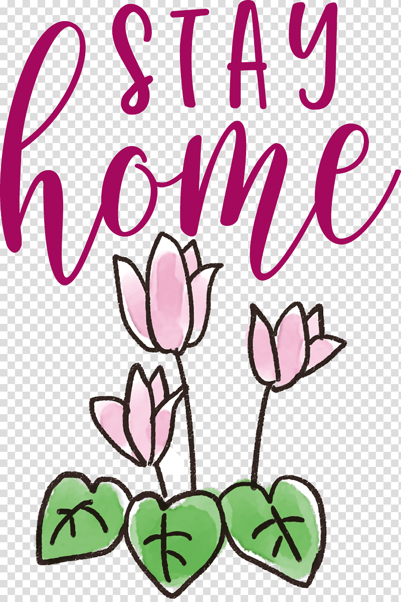 STAY HOME, Floral Design, Herbaceous Plant, Plant Stem, Flower, Petal, Cut Flowers transparent background PNG clipart
